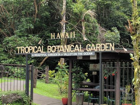 Botanical Garden Hilo Hawaii Home Garden