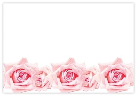 Blank (Pink Roses) - 60mm x 90mm OASIS® Florist Cards - CelloExpress