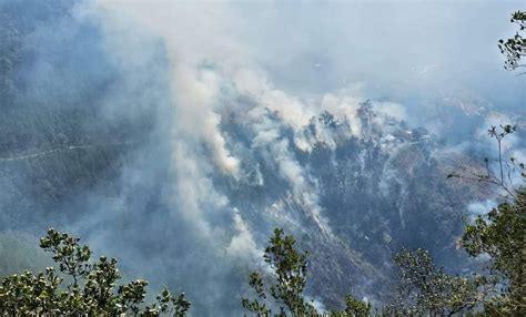 Contin An Labores Para Sofocar Incendio En Nicol S Flores El