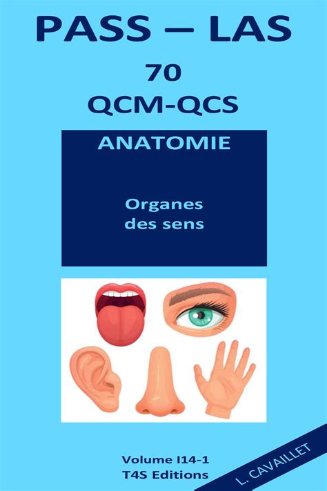 Qcm Pass Las Corrig S Anatomie Organes Des Sens T S Editions