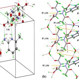 A Molecular Packing B Ladder Pattern In MPNG Packing Viewed Through