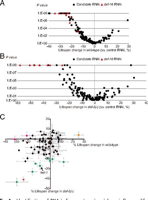 Figure 1 From RNA Helicase HEL 1 Promotes Longevity By Specifically