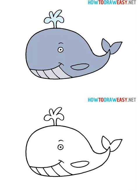 Easy Whale Drawing Ideas How To Draw A Whale