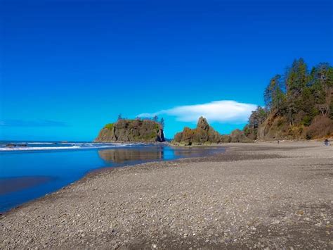 How To Plan The Perfect Olympic Peninsula Road Trip 2024 Postcards