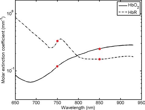 Absorption Spectra For Oxyhemoglobin Hbo2 And Deoxyhemoglobin Hbr Download Scientific