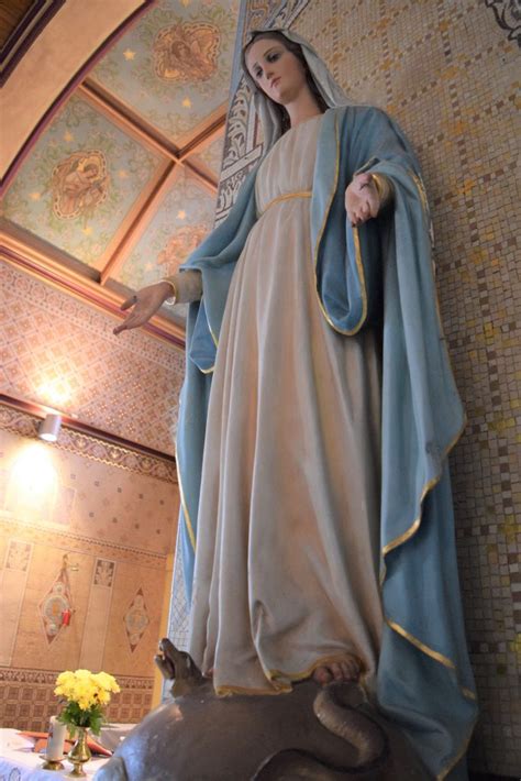 Solemnity Of The Immaculate Conception 2024 Ballinderreen Kinvara