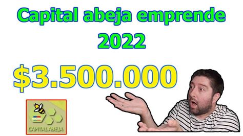 Capital Abeja Emprende Sercotec Francisco Te Ayuda