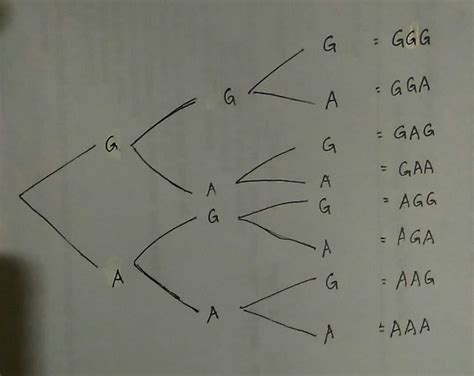 Contoh Diagram Pohon 47 Koleksi Gambar