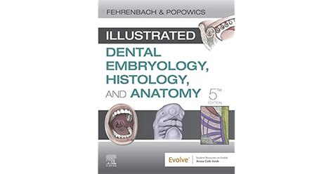 Dental Embryology, Histology and Anatomy Notes CH 3-5 - Etsy