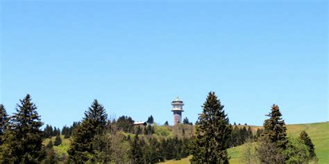 Feldbergsteig höchste Tour im Hochschwarzwald