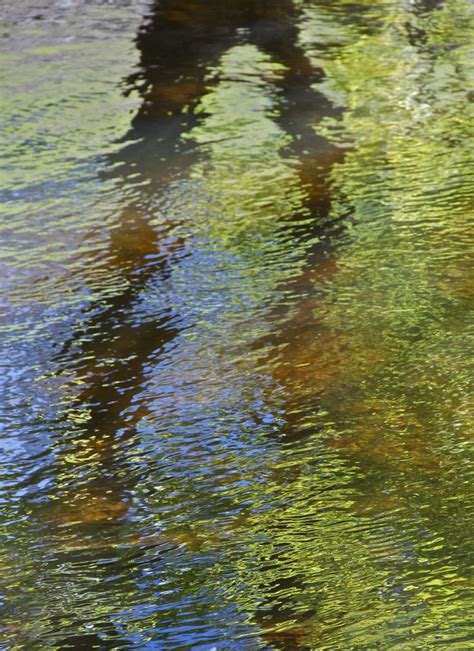 The Reflection Of Two People In Water With Trees Reflected On It S Surface