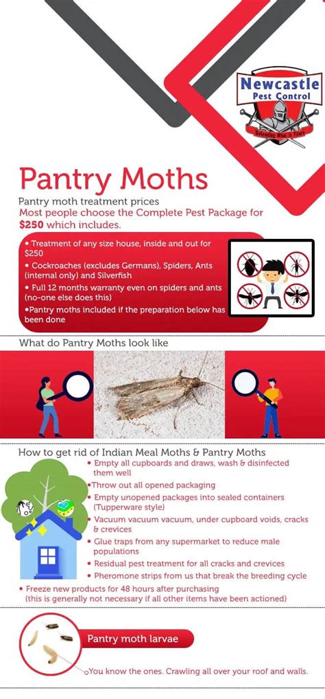 Pantry Moths | Newcastle Pest Control