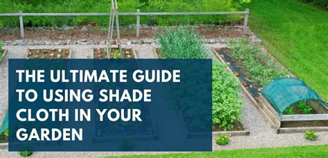 Guide To Using Shade Cloth Bootstrap Farmer