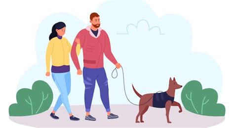 Canadá Tiene La Solución Si Quieres Pasear Perros Y Ganar Dinero Infobae