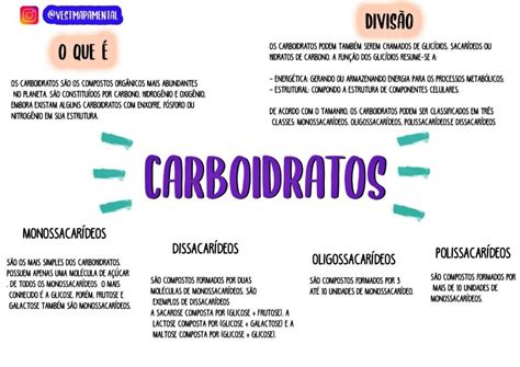 MAPA MENTAL SOBRE CARBOIDRATOS STUDY MAPS Study Notes Mental Map