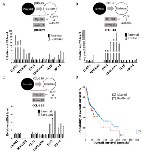 Differentially Expressed Genes In The Resistant Versus Parental Hnscc