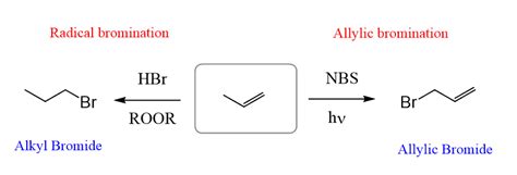 Allylic Bromination by NBS with Practice Problems - Chemistry Steps