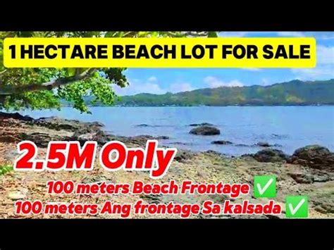 V Hectare Beach Lot For Sale M Only Tagkawayan Quezon