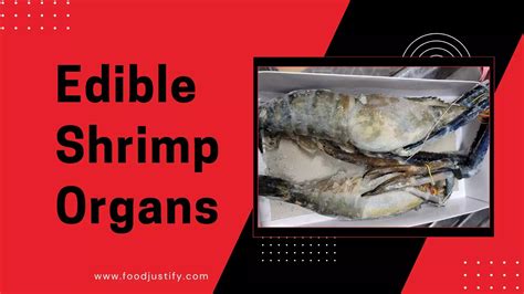 Edible and Inedible Shrimp Organs | Do shrimp have organs???