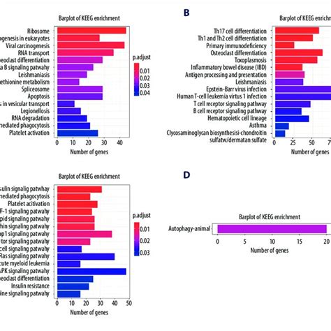 The Kegg Pathway Enrichment Analysis Of Degs A The Top Kegg