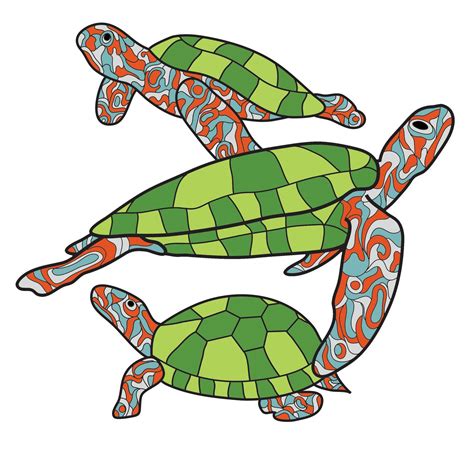 Turtle Shell Patterns - ClipArt Best