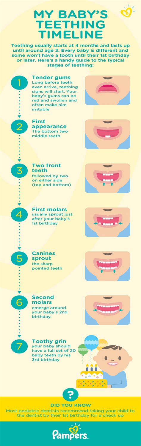 Remedies To Treat Swollen Gums In Babies When Teething, 42% OFF