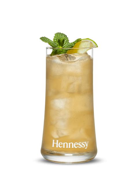 Blueberry Mojito recipe: Preparation and ingredients - Hennessy