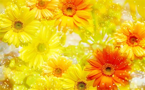 Yellow Flower HD Wallpapers - Wallpaper Cave