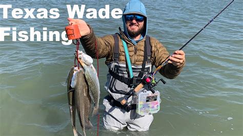 Wade Fishing Galveston Texas Catch Clean Cook Speckled Trout Youtube