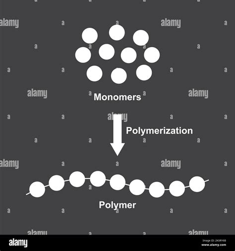 Scientific Designing Of Polymerization Reaction Converting Monomers To