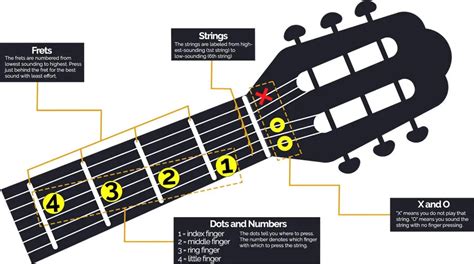 Learn Guitar Notes For Beginners - Achyutaya