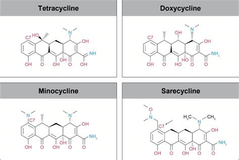 Minociclina Wikipedia La Enciclopedia Libre Off