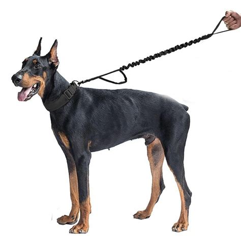 Hot Tactical Dog Leashes Control Handle Pet Dog Training Leash-in ...