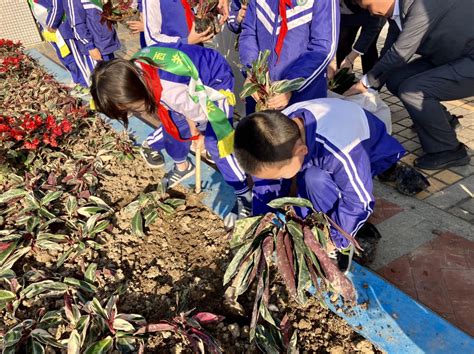 西村街：环市西苑社区开展“种下童心 绿美西苑”植树志愿服务活动（组图） 广州市荔湾区人民政府门户网站