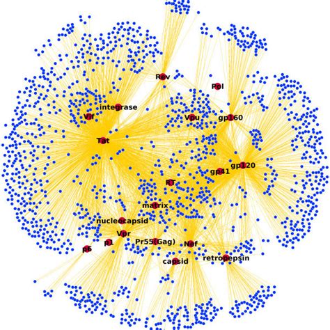 Hiv Proteins Interact With Hiv Dependency Factors Hdfs Which In Turn