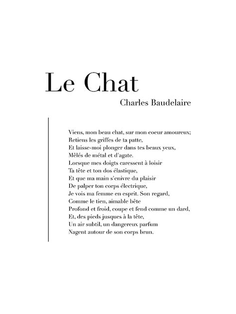 Impression Artistique Le Chat De Charles Baudelaire Par Wisemagpie