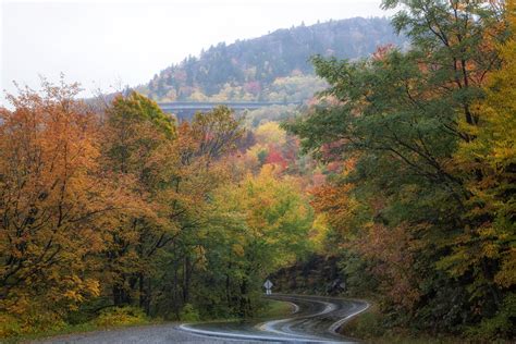 Grandfather Mountain Fall Colors 2024 Map - arlyne jillene