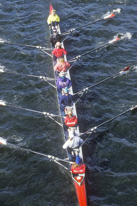 Male Rowers Competing in Regatta Race Wearing Red and White. Editorial ...