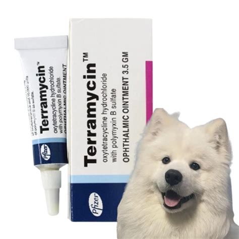 1PCS Terramycin Antibiotic Ointment for Eye Infection Treatment in Dogs, Cats, Cattle, Horses ...