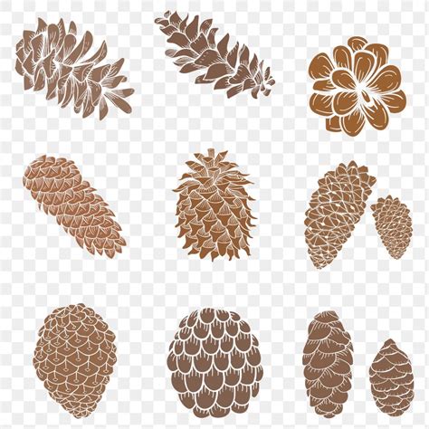 Conifer Cone Sticker Design Element Premium PNG Rawpixel