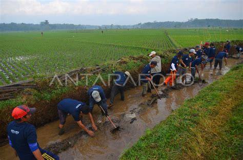 Padat Karya Tunai Petani Antara Foto