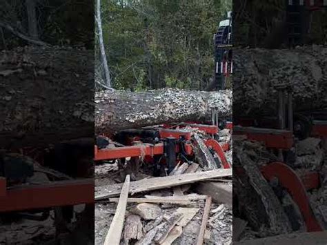 Compact Log Turner For Efficient And Safe Log Handling In Sawmills And