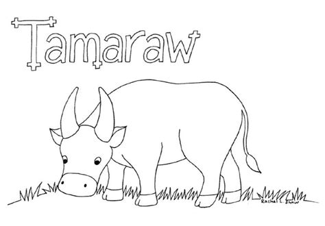 Colour A Tamaraw Rachel L Shaw