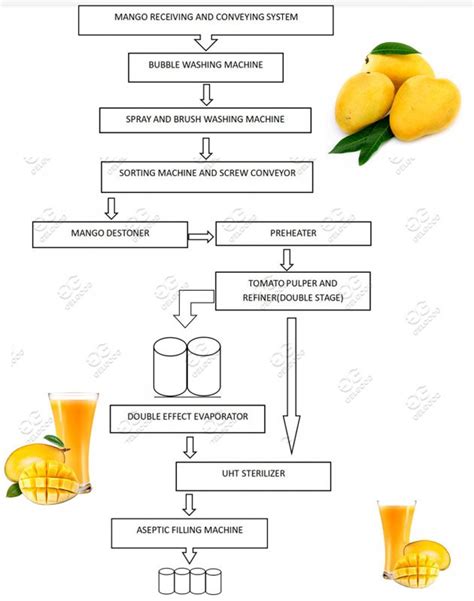 Mango Juice Process Line Solution