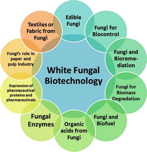 White Biotechnology Market 2020 Trends Analysis