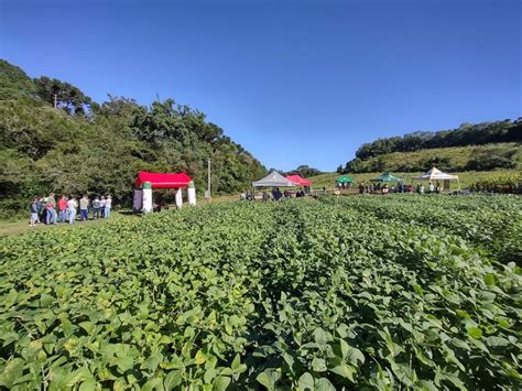 Curso De Agronomia Faculdade Ideau Ideau Caxias Do Sul