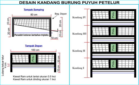 Ukuran Kandang Burung Puyuh Petelur Kandang