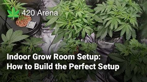 Indoor Grow Room Setup How To Build The Perfect Setup