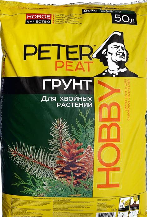 Как вырастить елку из ветки: размножение ели черенками