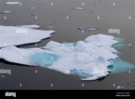 Arctic pack ice near the Svalbard archipelago Stock Photo - Alamy 